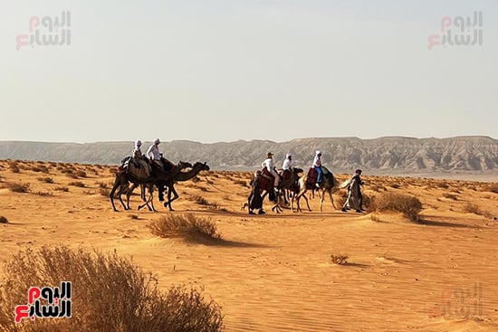 سائحون-اجانب--يركبون-الجمال-في-رحلات-طويلة