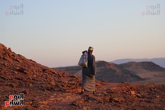 الرحلة-اليومة الرحلة-اليومة