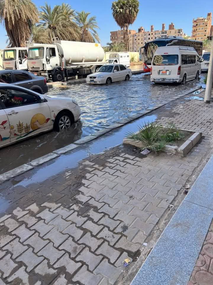 شلل مرورى شلل مرورى