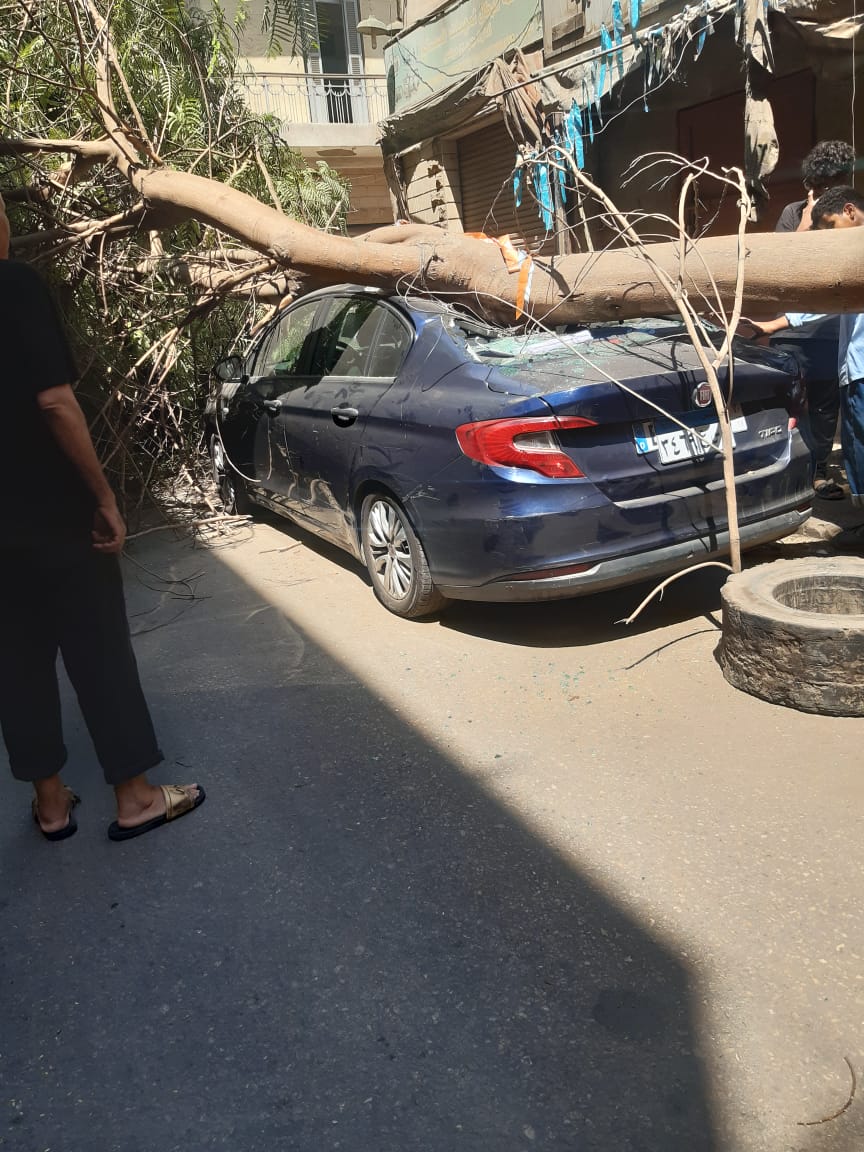 WhatsApp Image 2025-07-18 at 1.14.12 PM (1)
