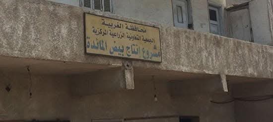 مشروع انتاج بيض المائدة