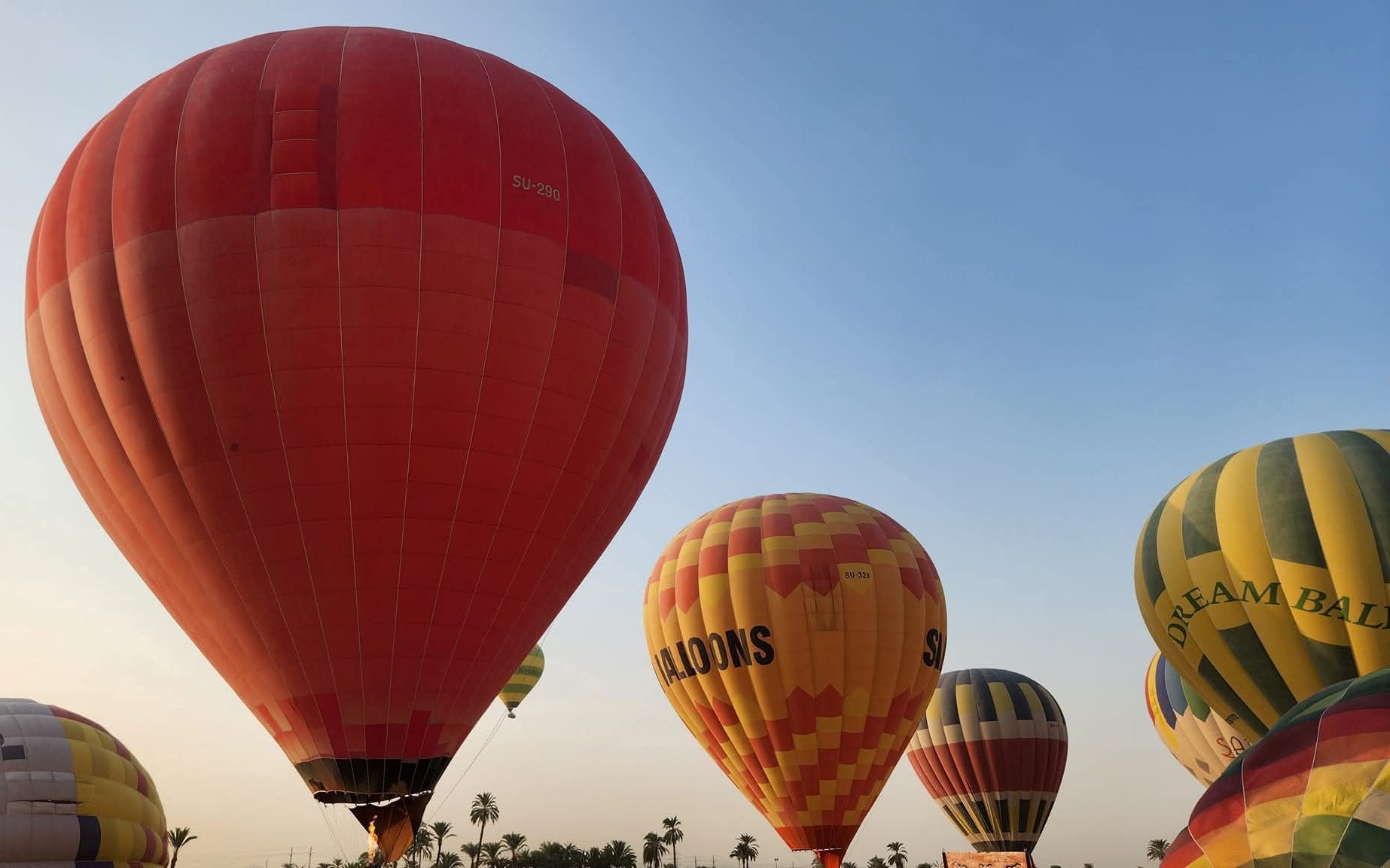 جانب من تحليق البالونات الطائرة غرب الأقصر