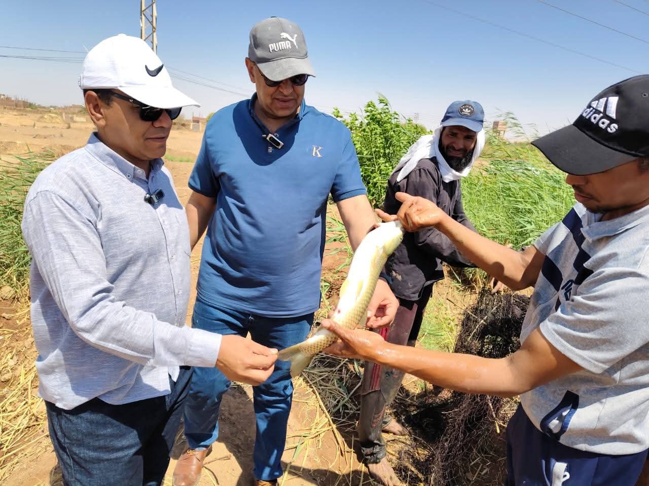 تعميم التجربة على باقى القرى 