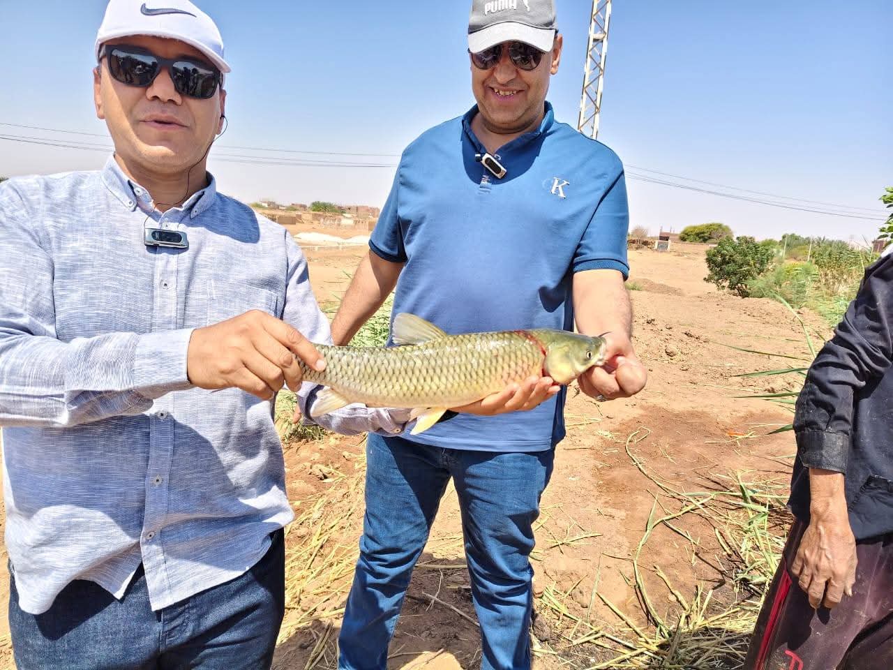 رئيس مركز بلاط يشيد بالتجربة 
