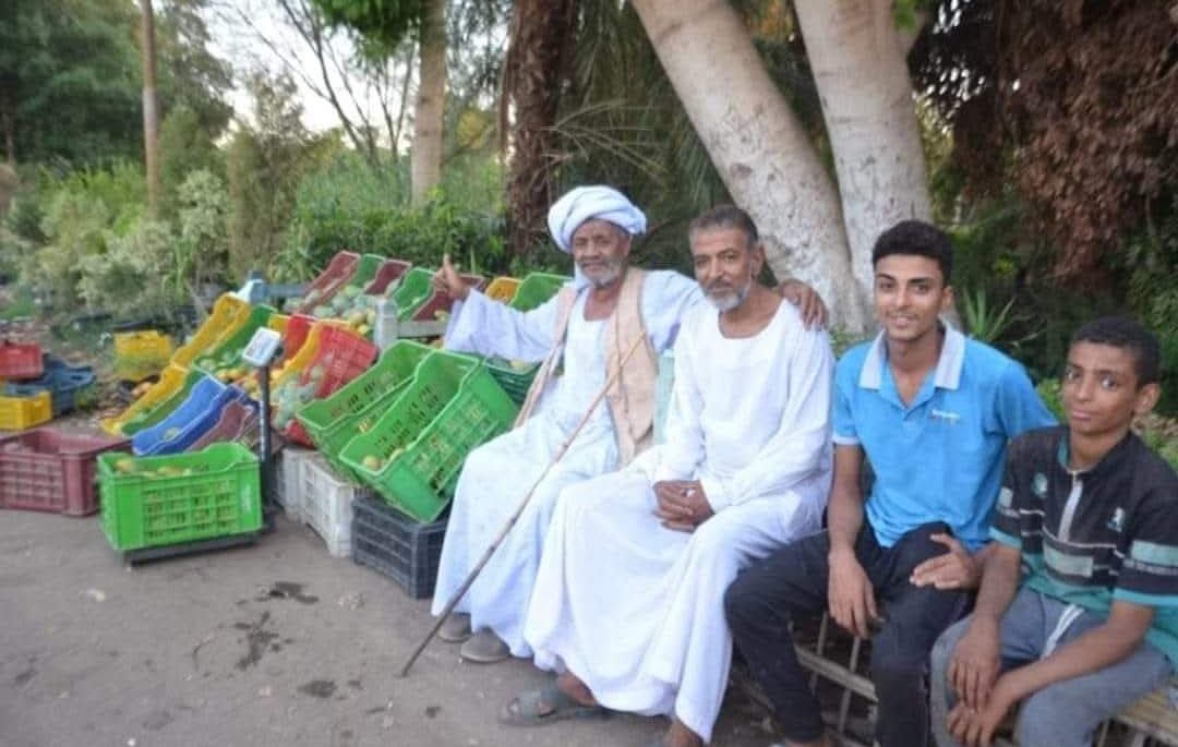 المزارعين خلال بدء عرض كميات المانجا أمام المواطنين