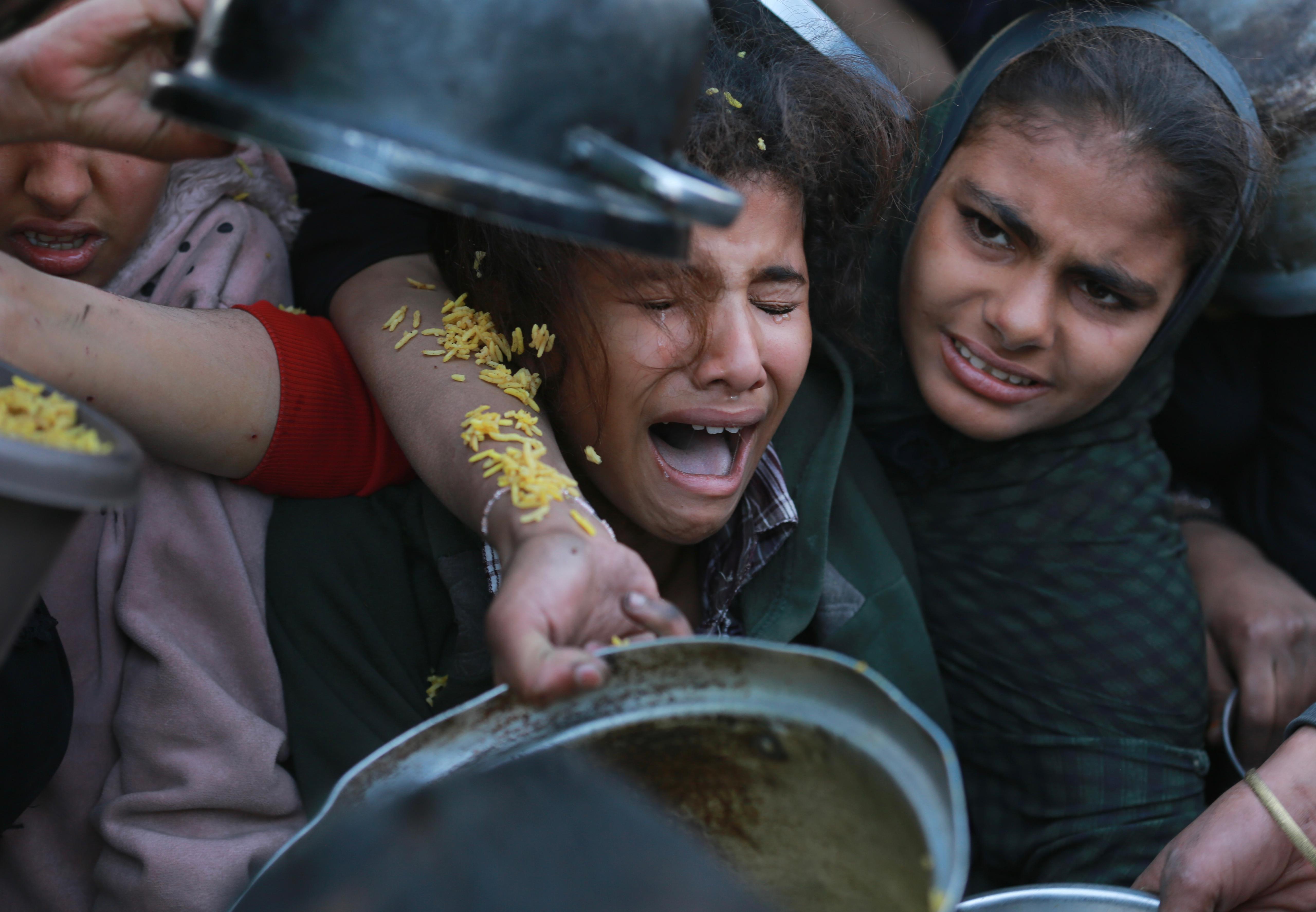معاناة الأطفال في غزة خلال الحصول على الطعام