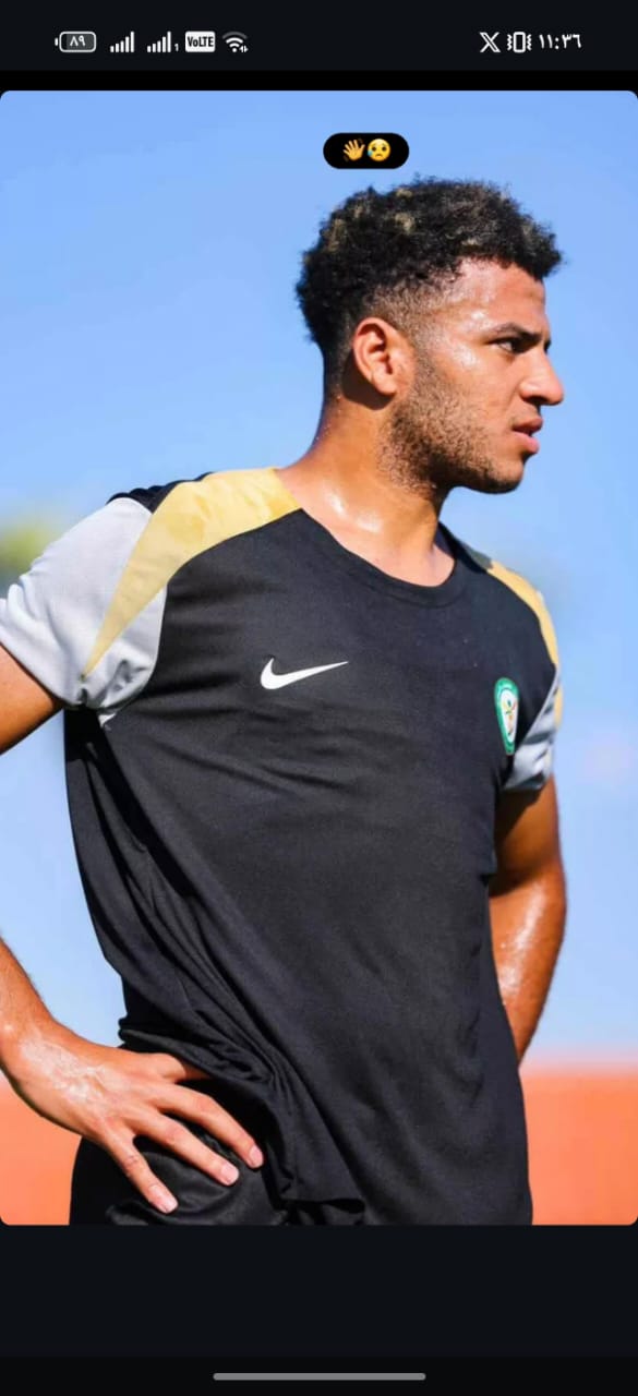 احمد ربيع احمد ربيع