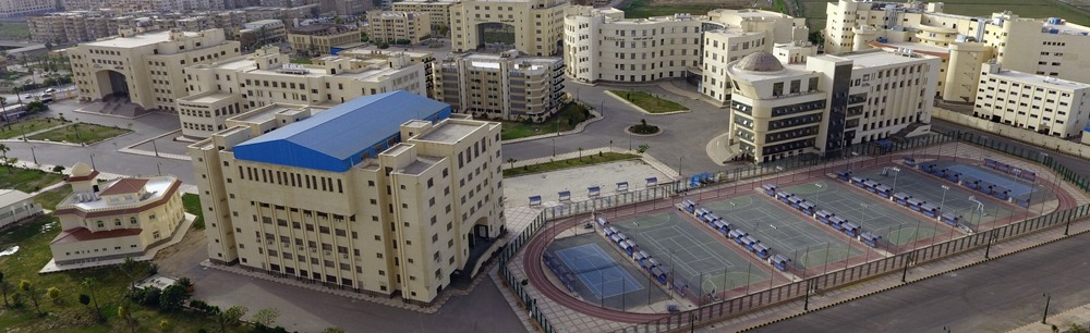 كليات جامعة كفر الشيخ