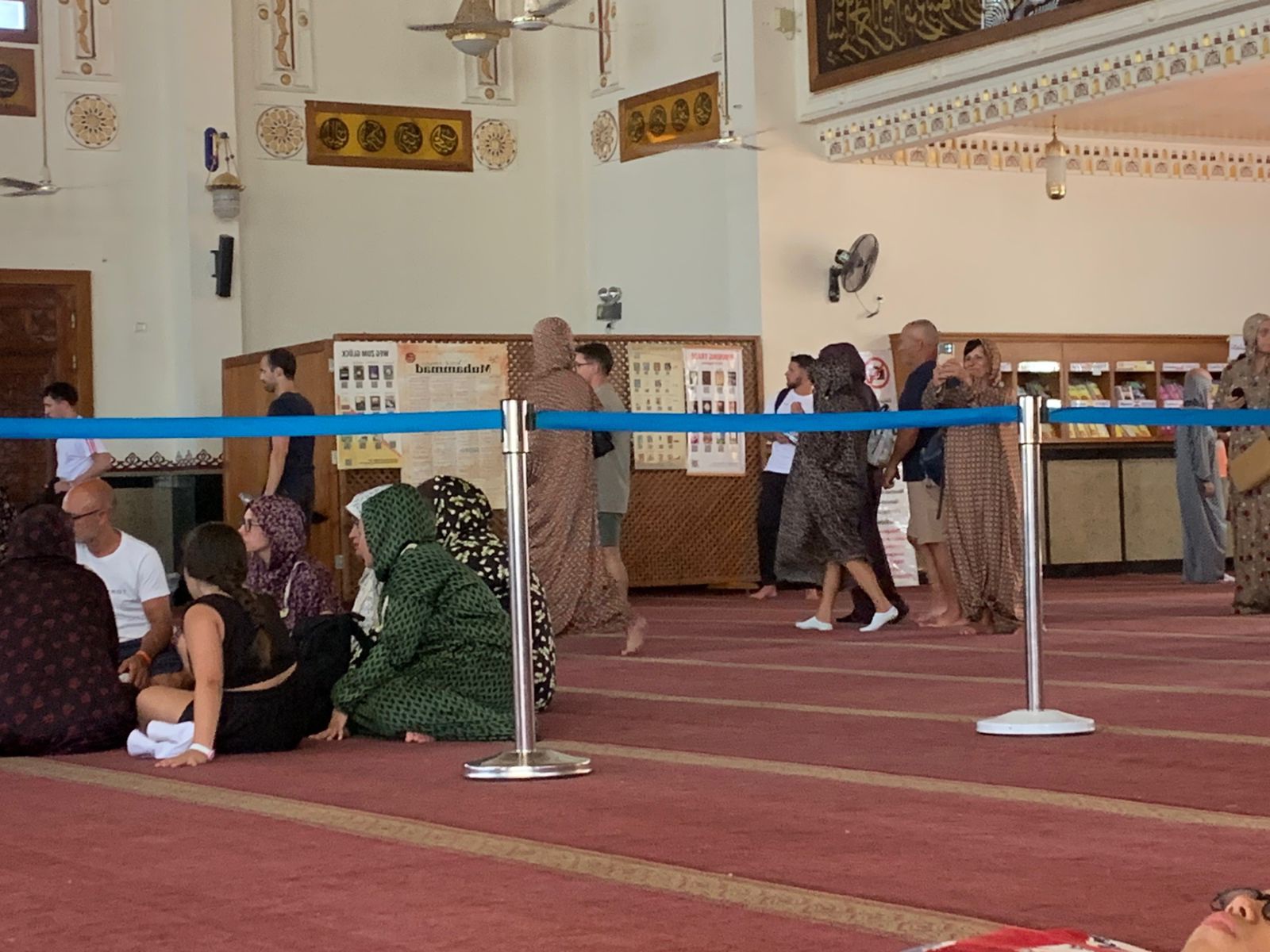 السيدات يرتدي الاسدالات