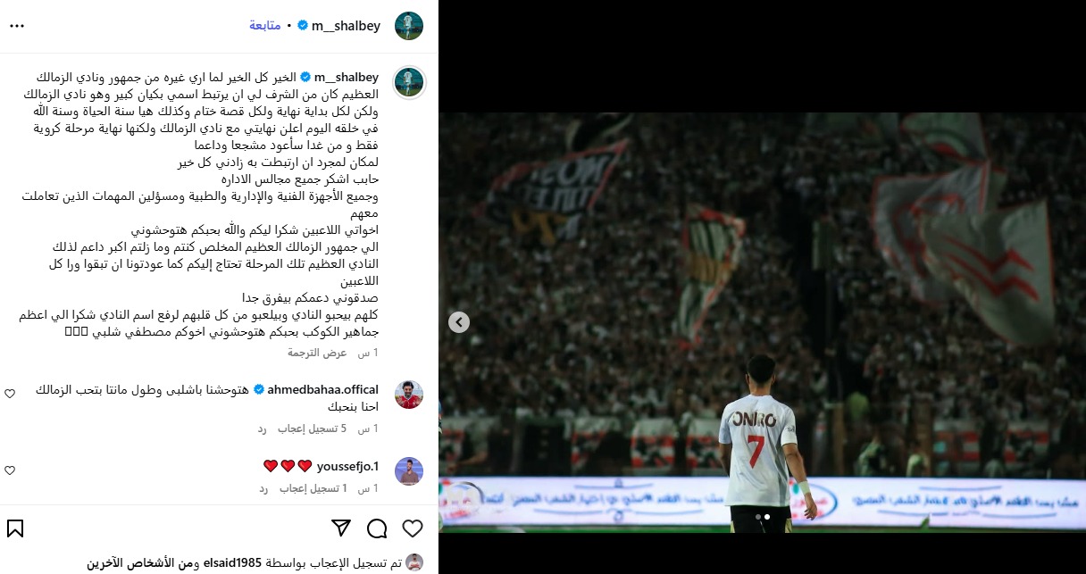 مصطفى شلبى