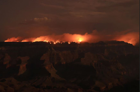 رجال الإطفاء يكافحون حرائق الغابات في جراند كانيون (7)