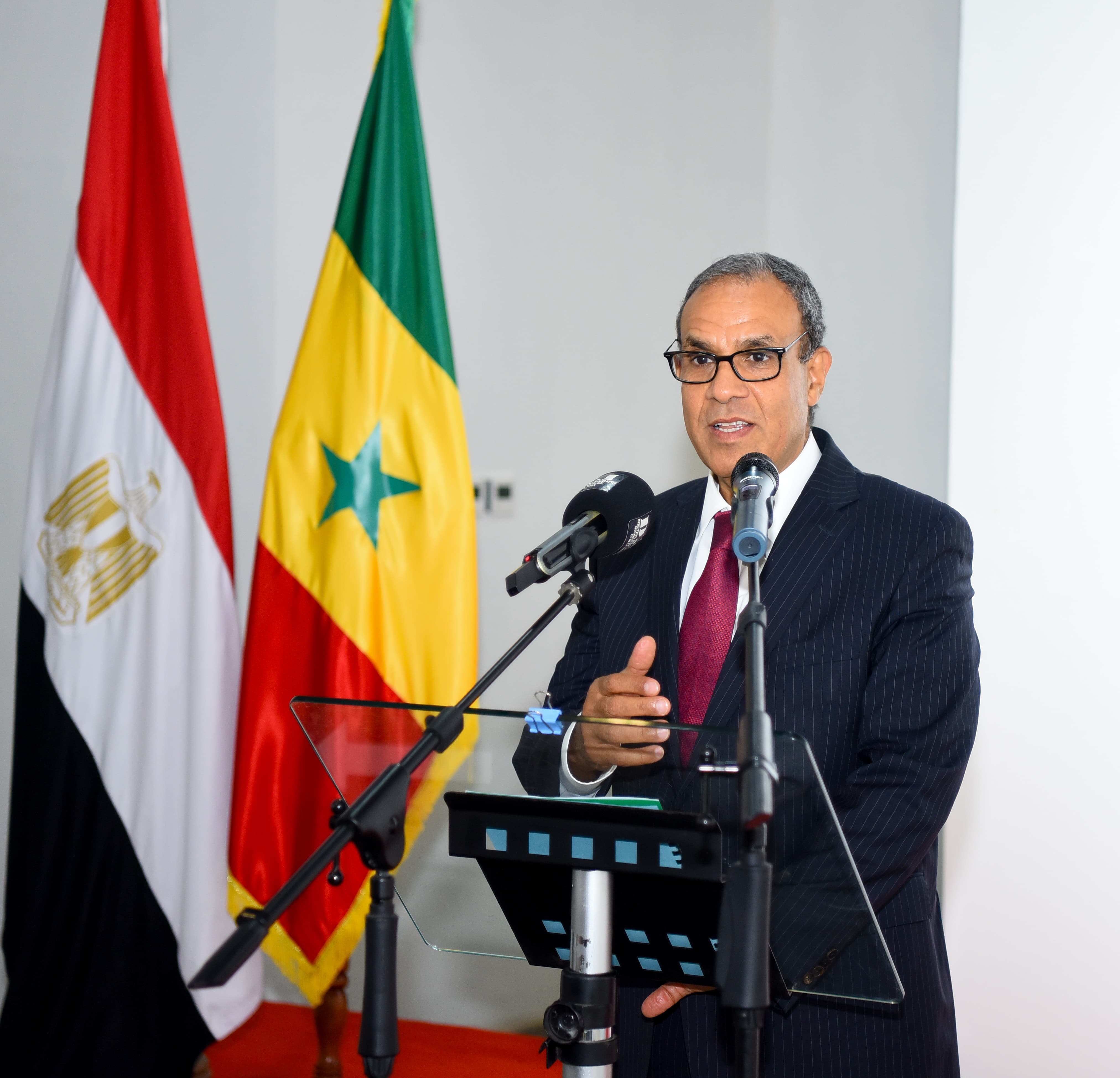 وزير الخارجية بدر عبد العاطى