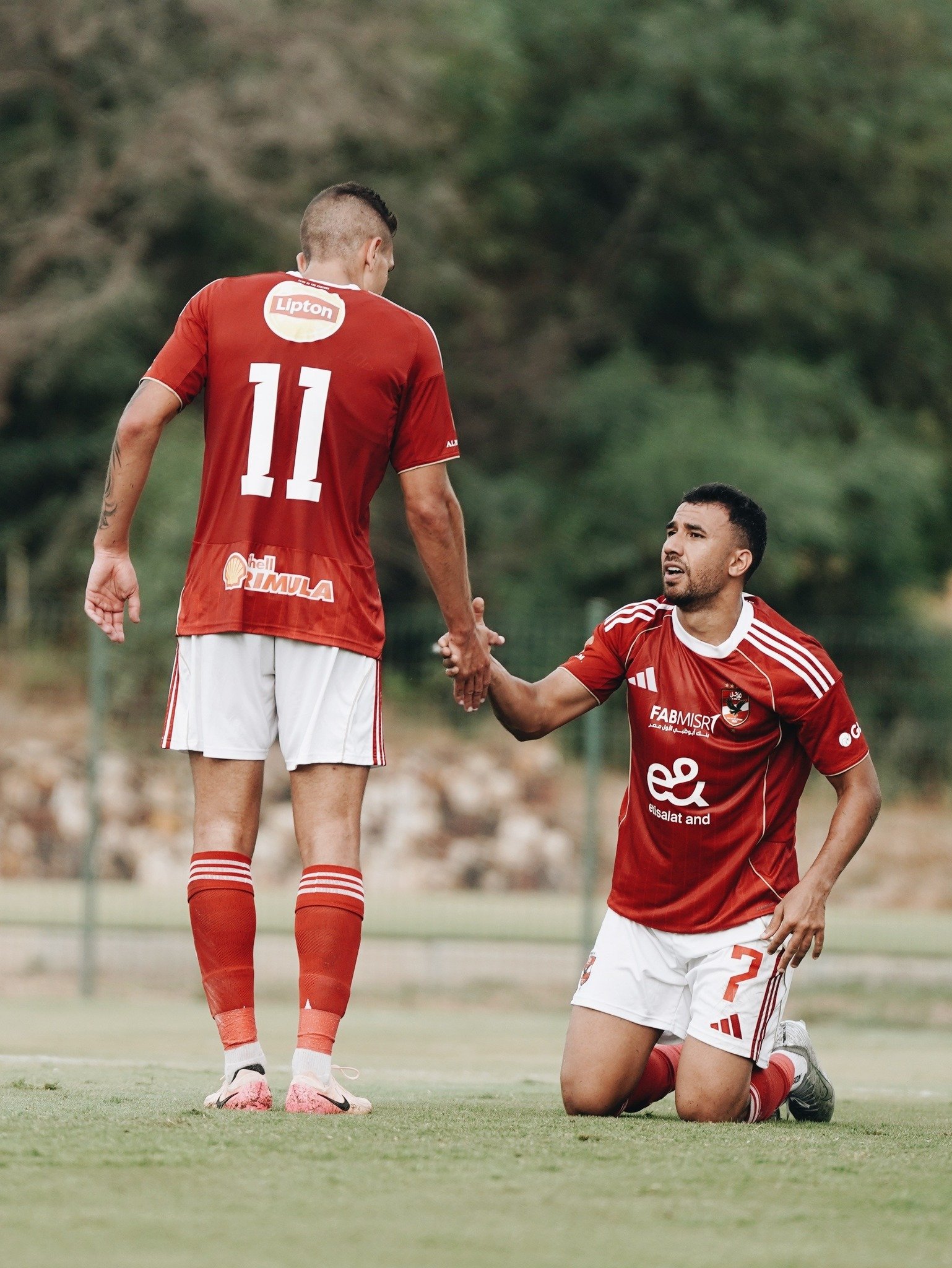 تريجيه وجراديشار تريجيه وجراديشار