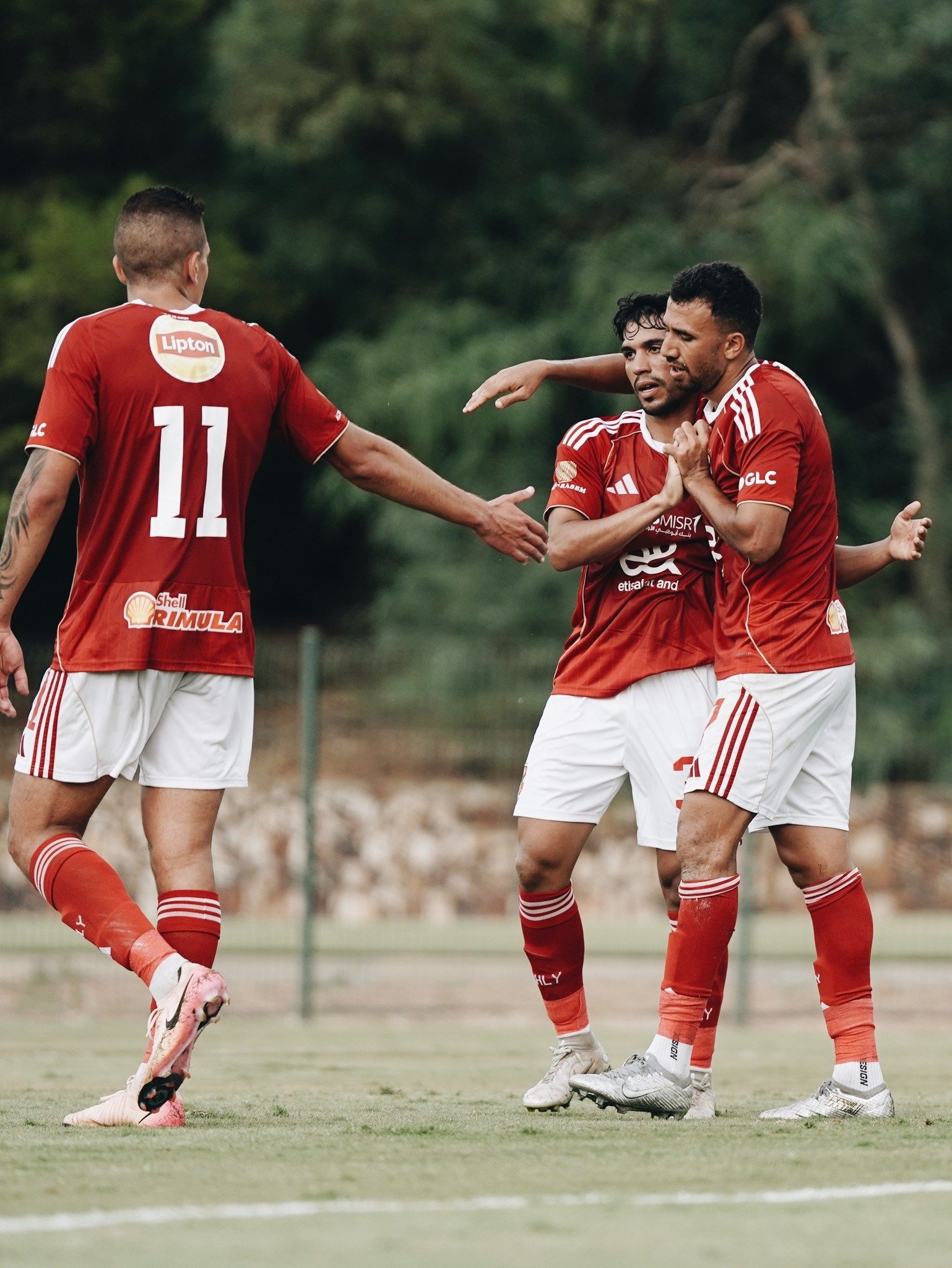 احتفال تريزيجيه احتفال تريزيجيه