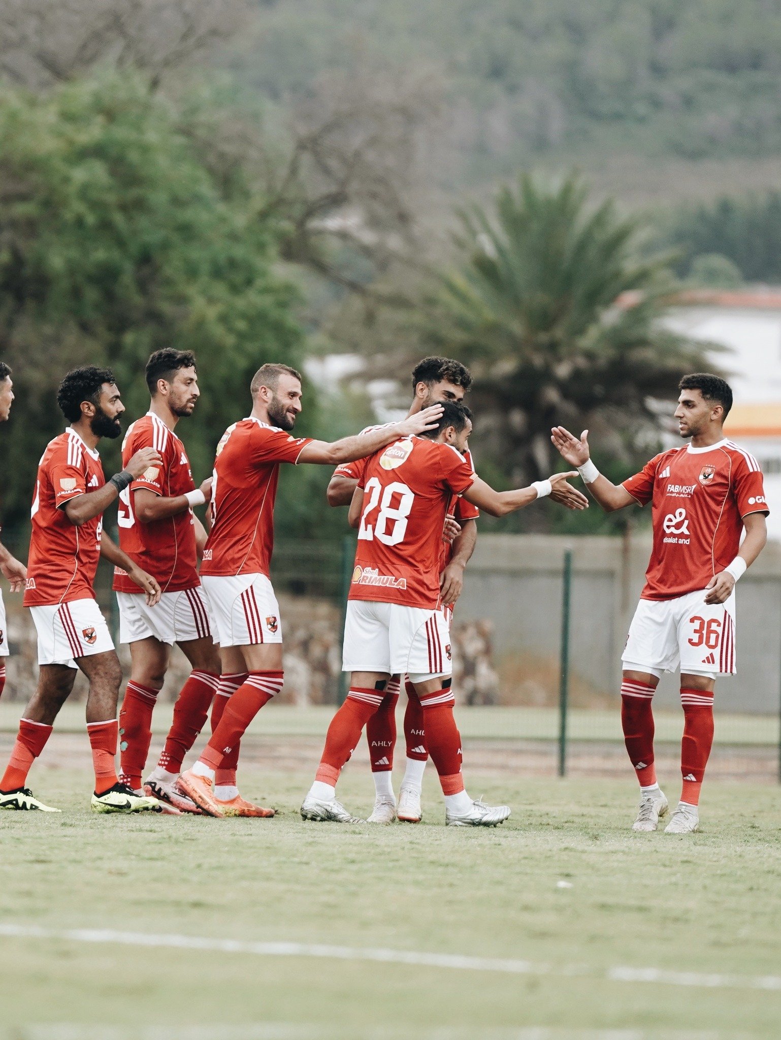 فريق الاهلى فريق الاهلى