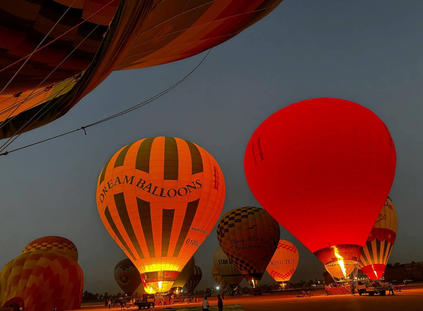 الأقصر تشهد تحليق 43 رحلة بالون تقل على متنها 955 سائح