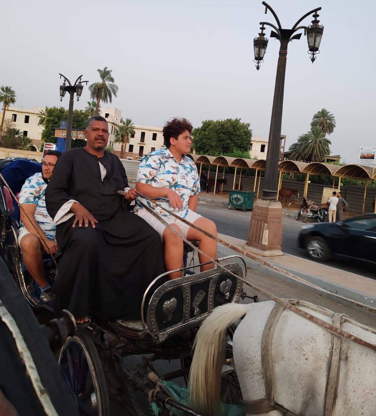 استمتاع الأجانب فى قلب رحلات الحنطور بالأقصر