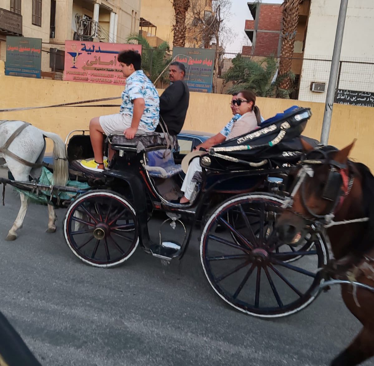 عربات الحنطور متعة خاصة في قلب الأقصر