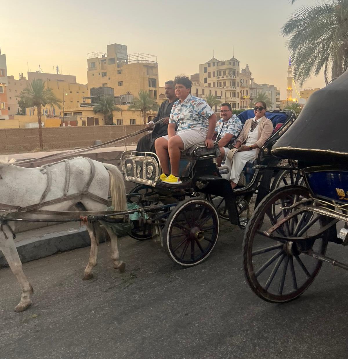 الحنطور متعة خاصة في قلب الأقصر