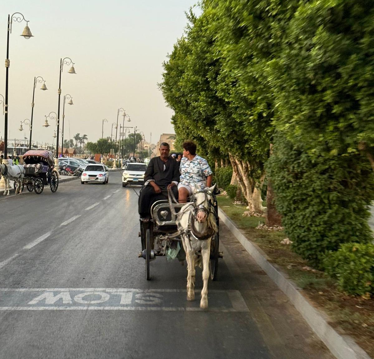 رحلات الحنطور فى قلب كورنيش النيل بالأقصر