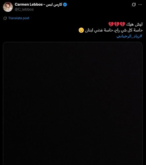 كارمن لبس