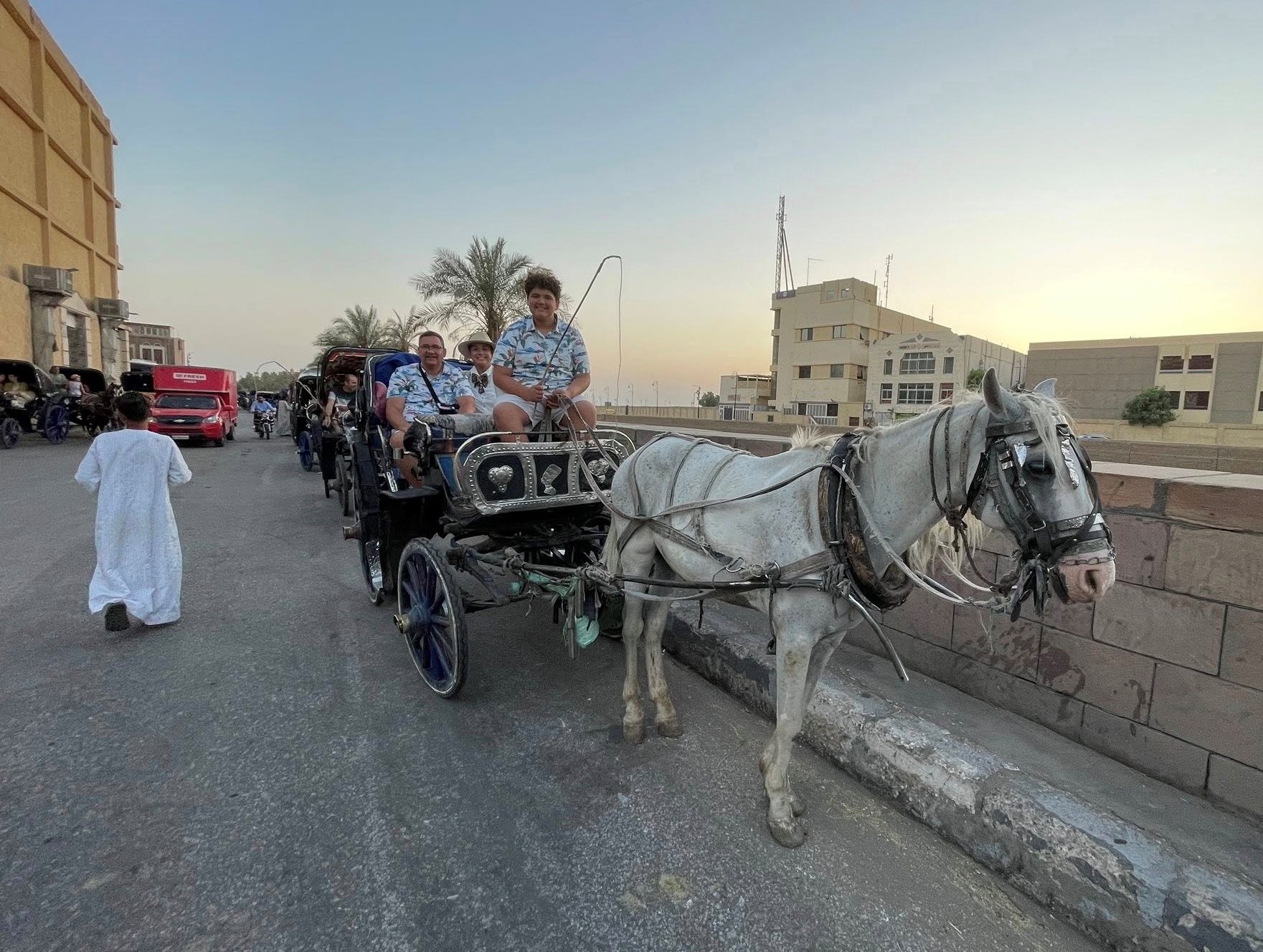 رحلات الحنطور اليومية لسياح العالم فى قلب الأقصر
