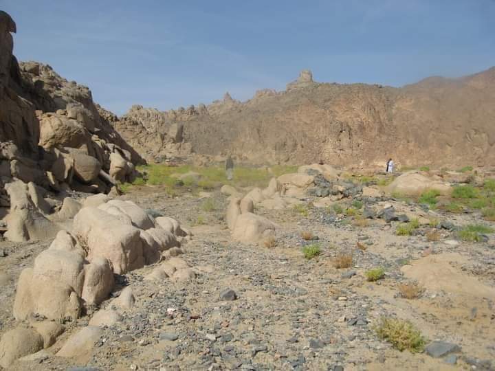 وادى مليحة شمال غرب الغردقة