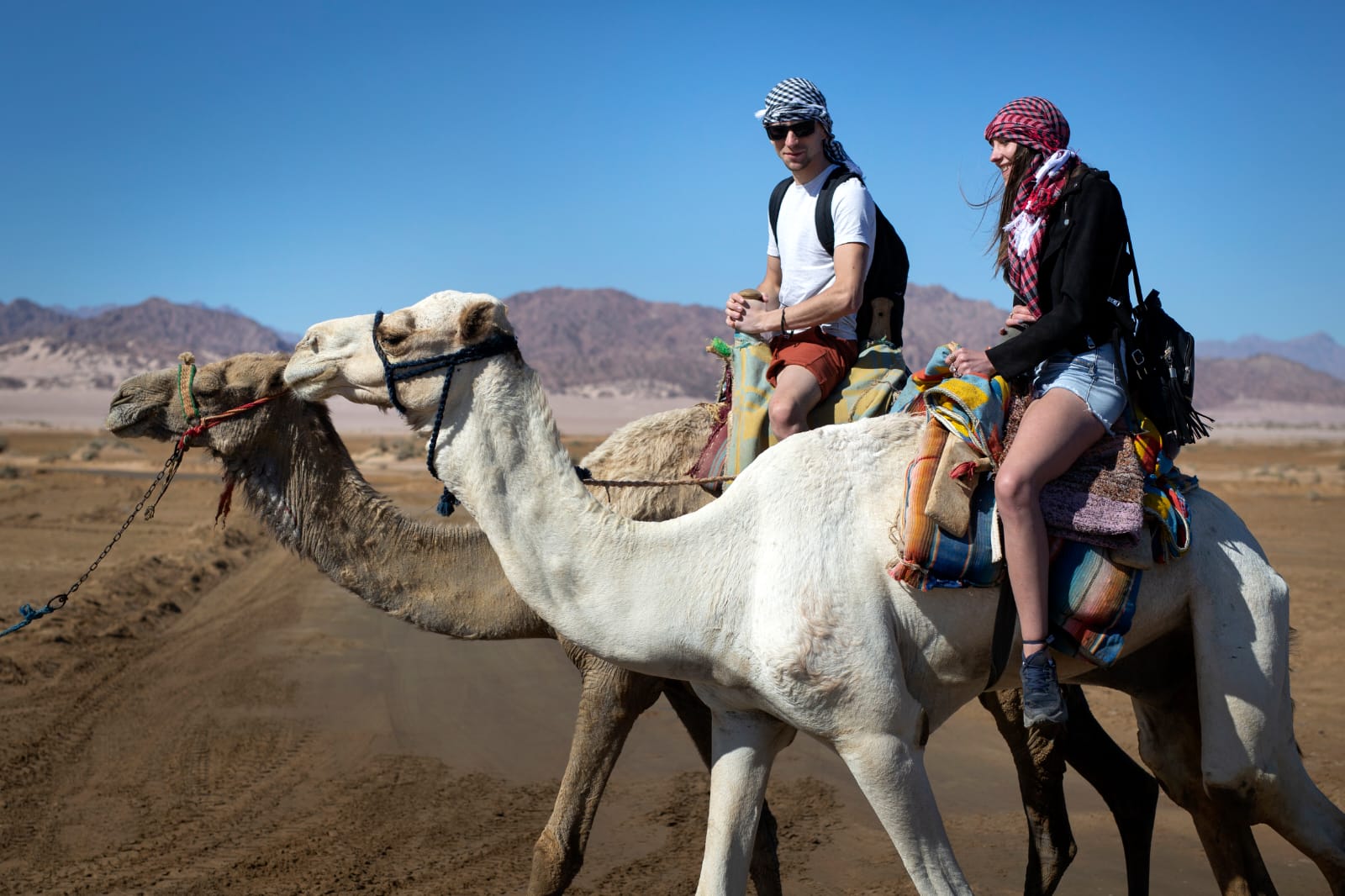 السياحة البيئية