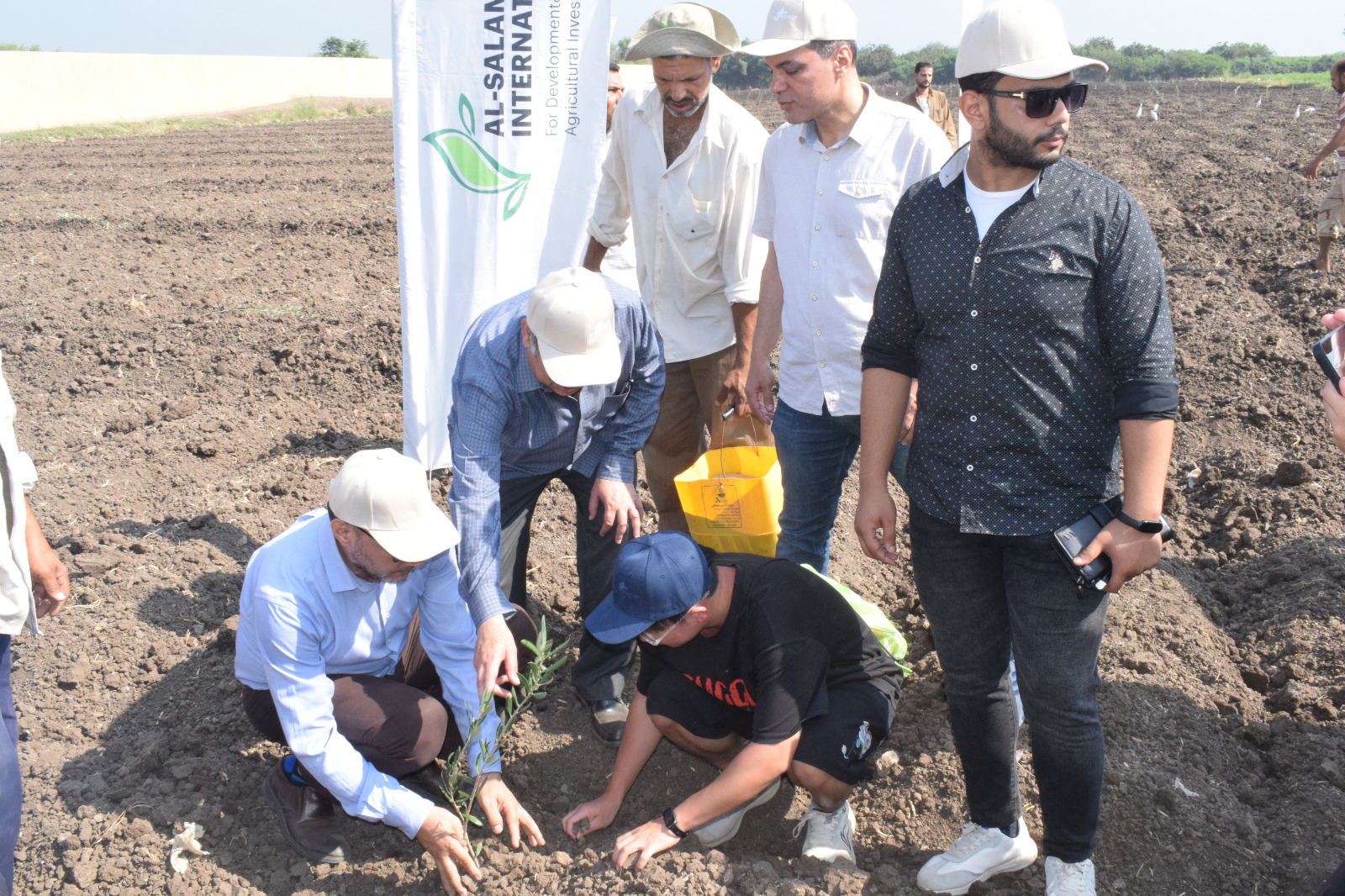 زراعة 1000 شدرة زيتزن بمزارع الكلية