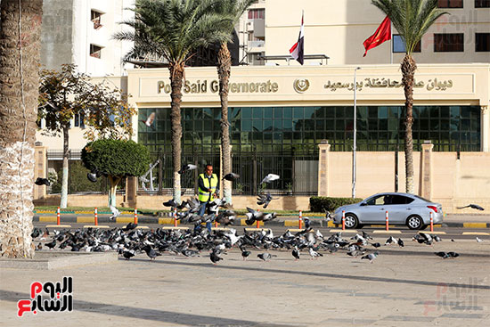 ميدان الشهداء (6)