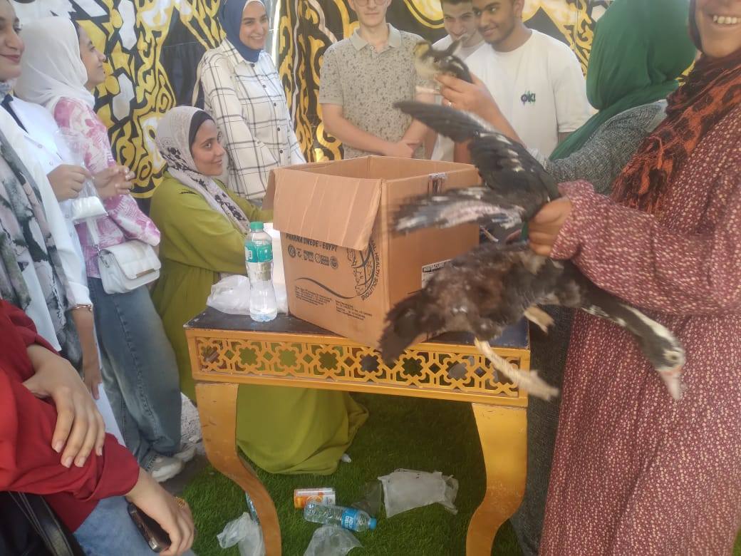 تحصين الطيور وعلاجها