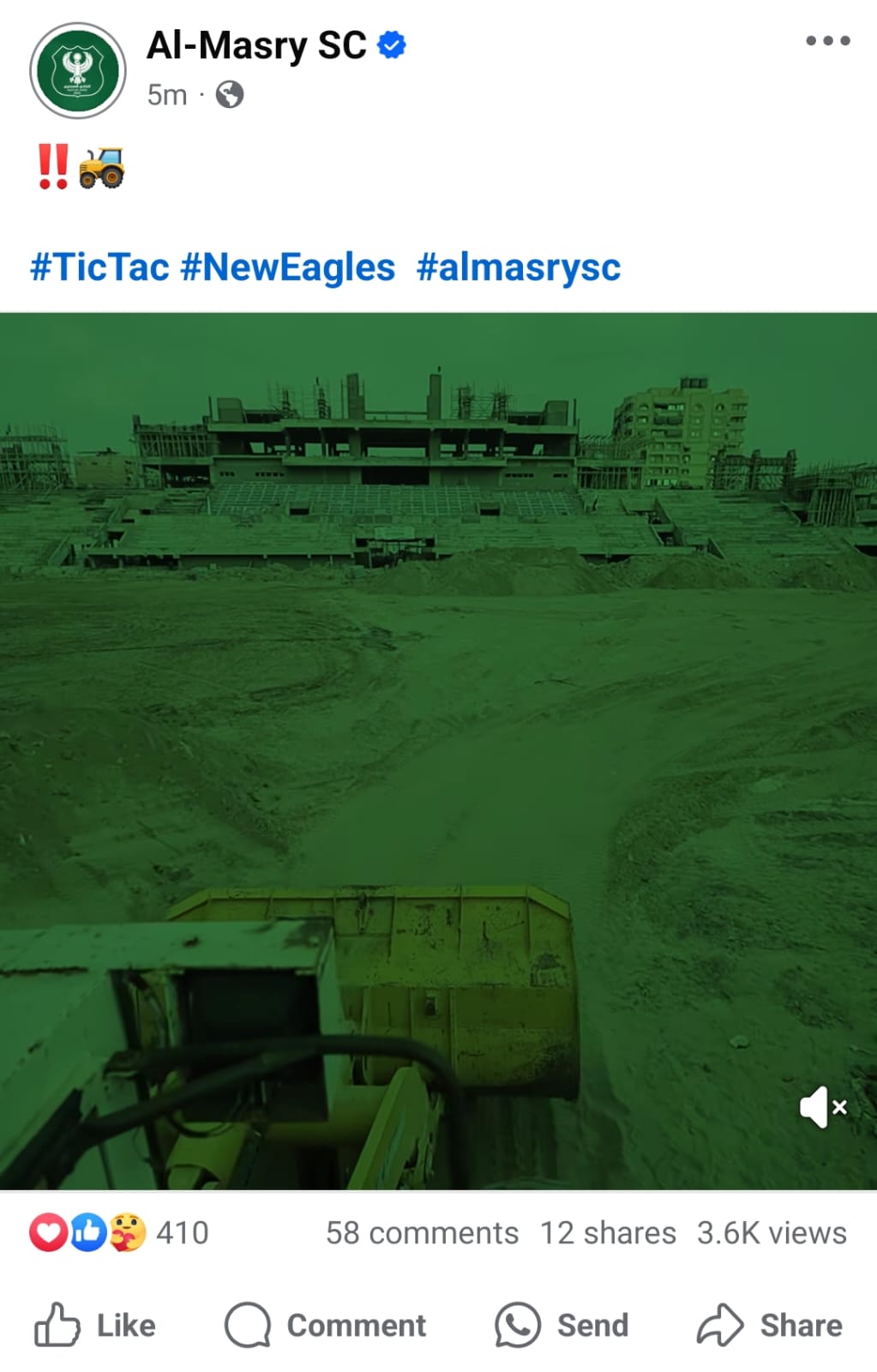 المصري المصري