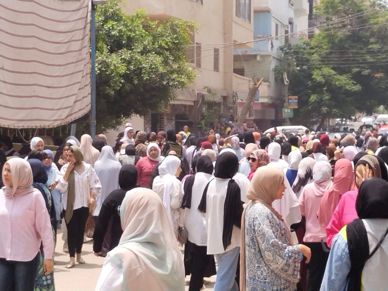 الطلاب أمام اللجان