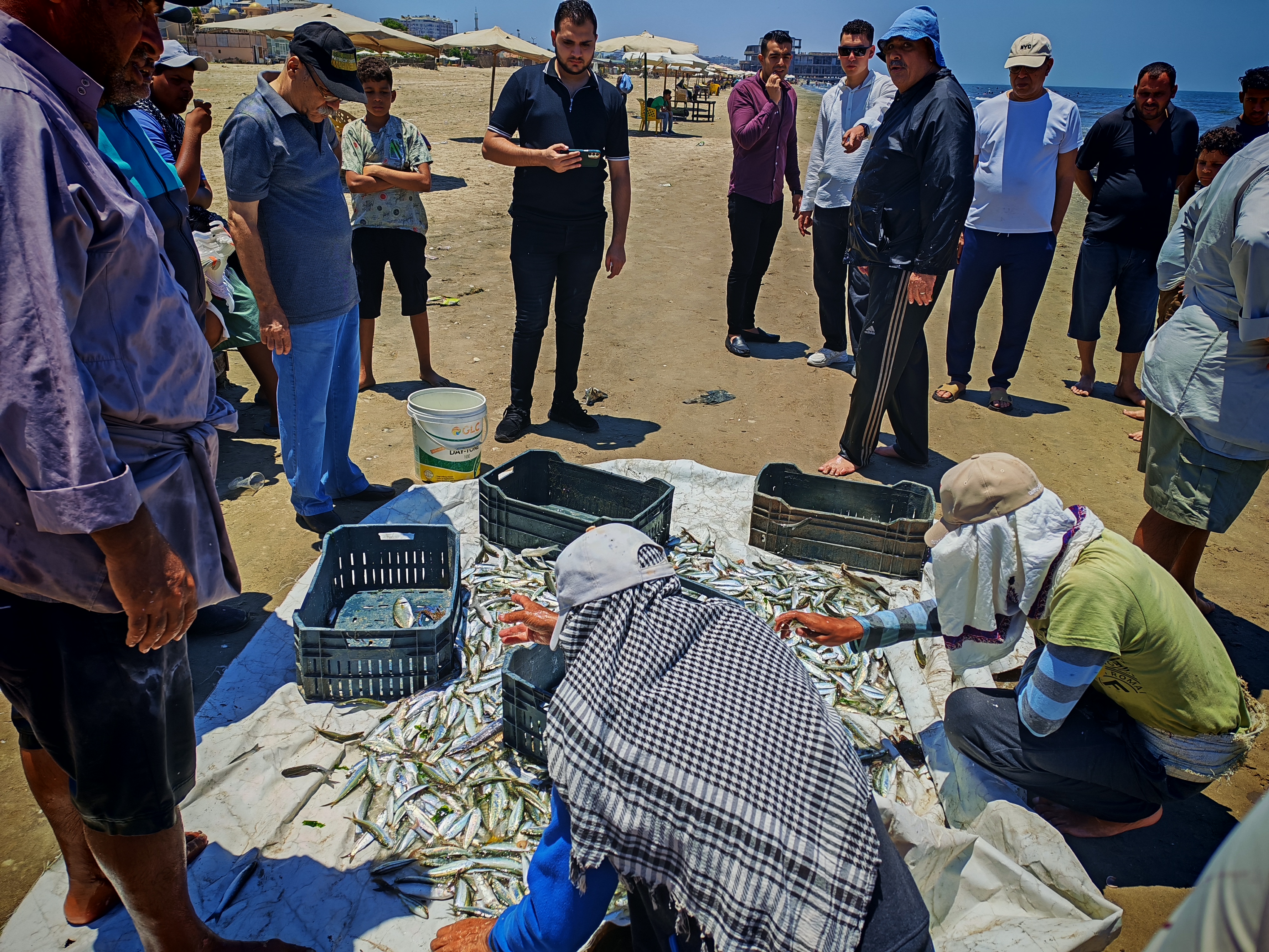 اسماك الصيادين اسماك الصيادين