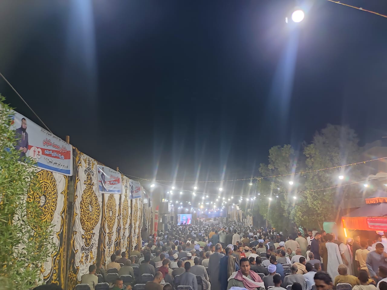 النور بأسوان ينظم مؤتمرًا جماهيريًا حاشدًا  (4)