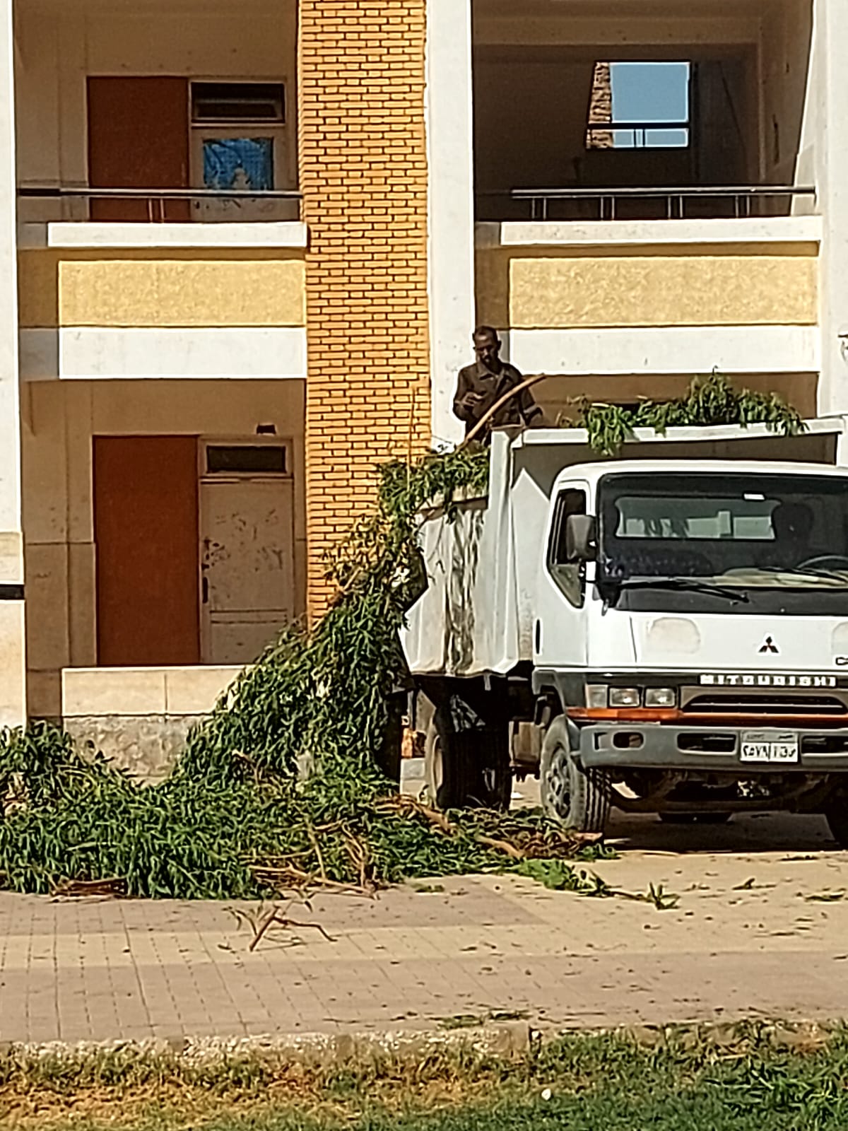 حملات حول المدارس قبل إجراء إنتخابات مجلس الشيوخ