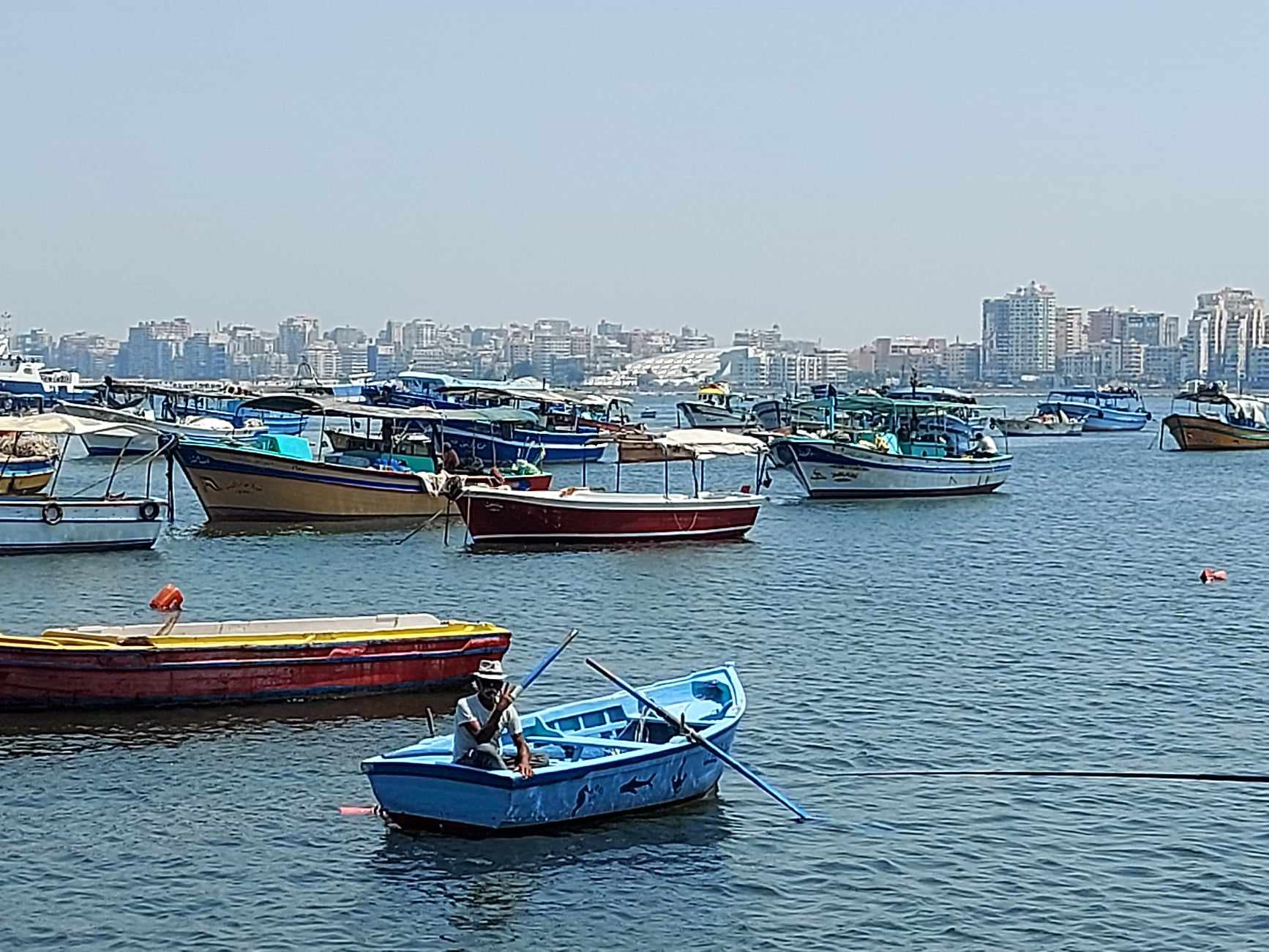 الدنجل الصغير الدنجل الصغير