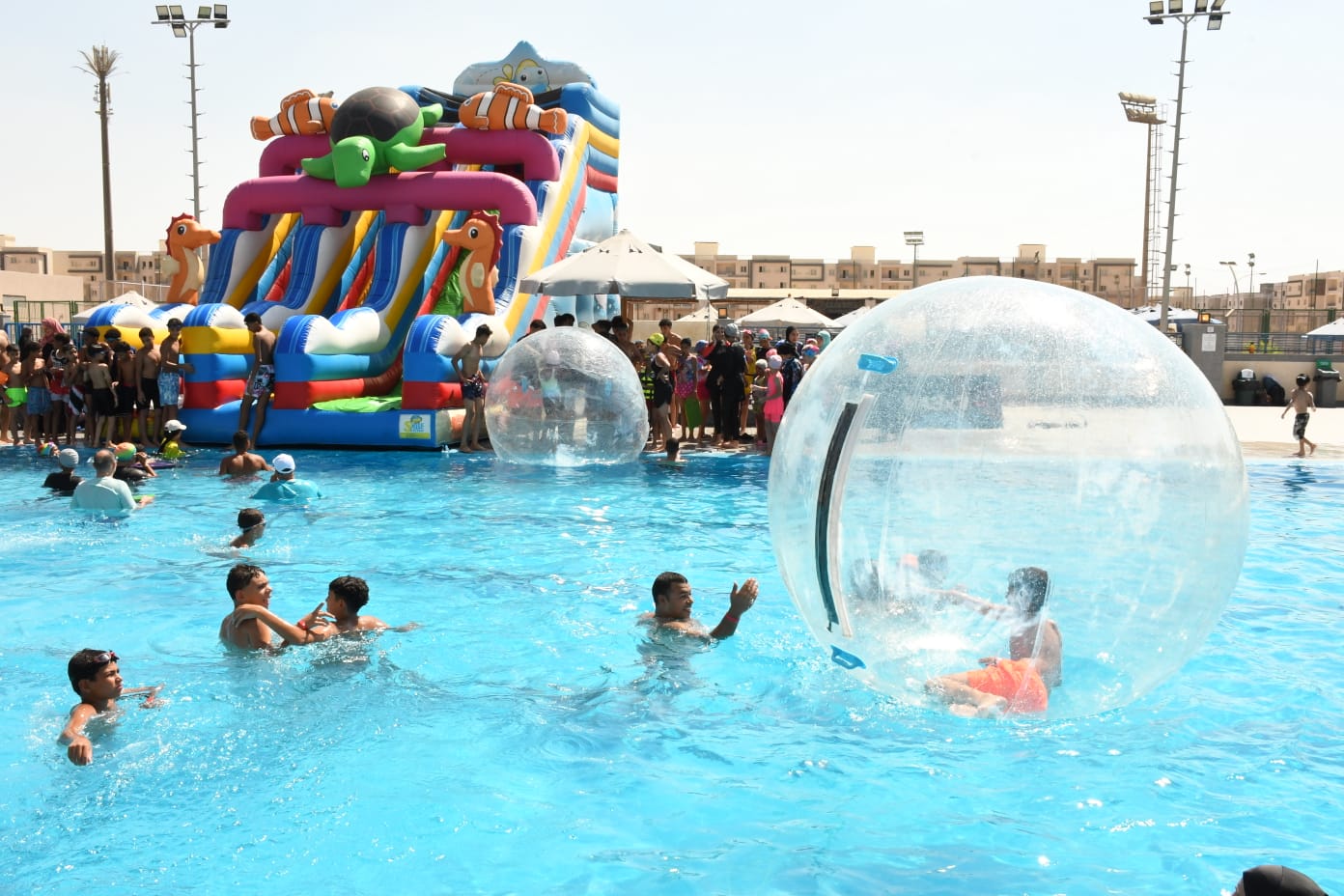 فرح اعضاء الجزيرة
