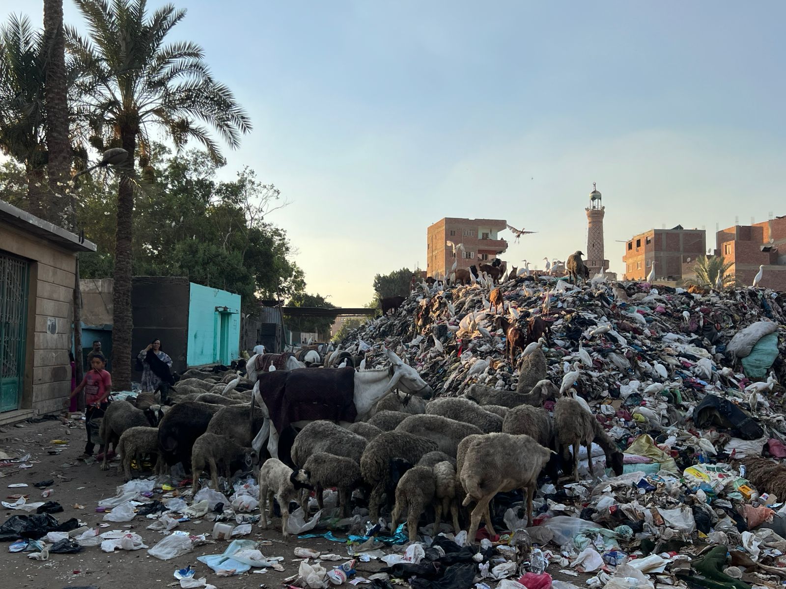 مقابر مدينة الحوامدية مقابر مدينة الحوامدية
