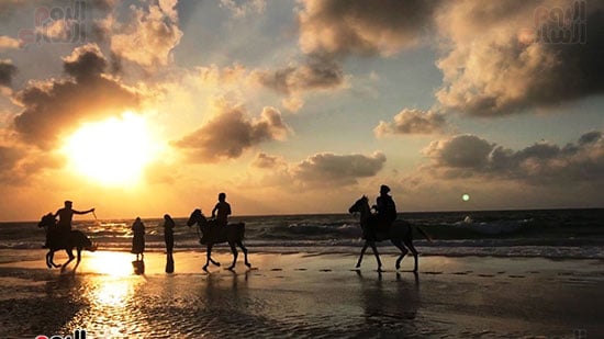 الخيل-على-شاطئ-العريش