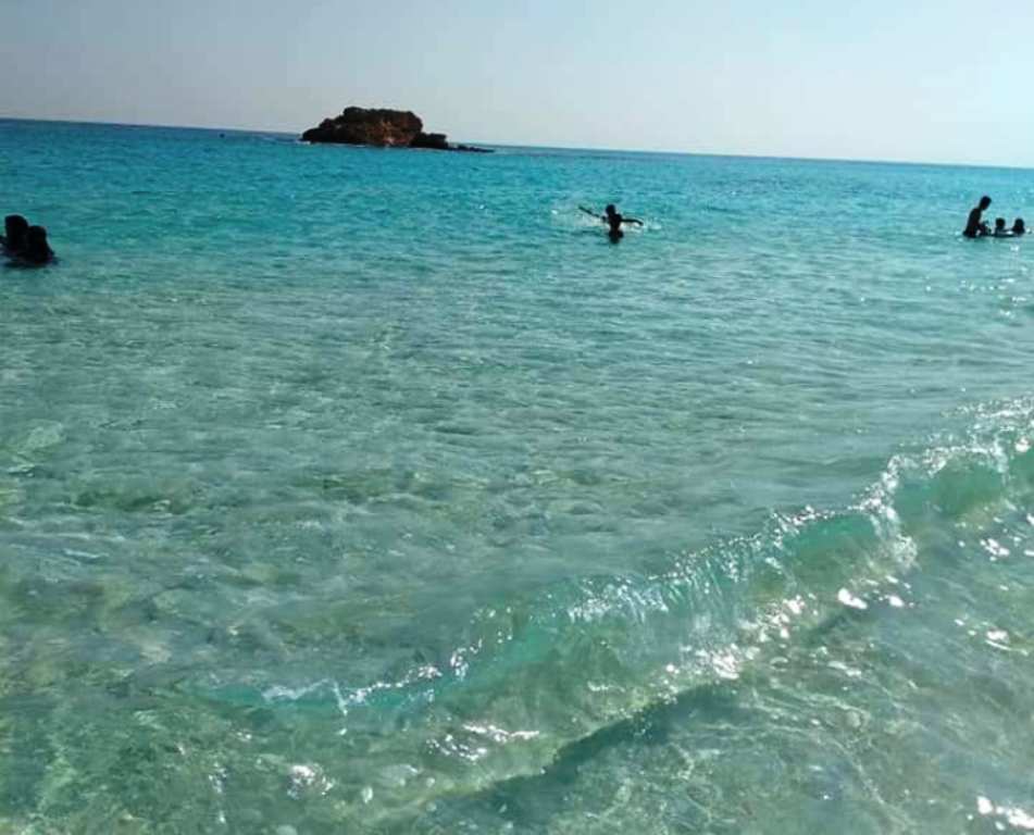 أجمل شواطئ مرسى مطروح تقع غربي المدينة  (3)