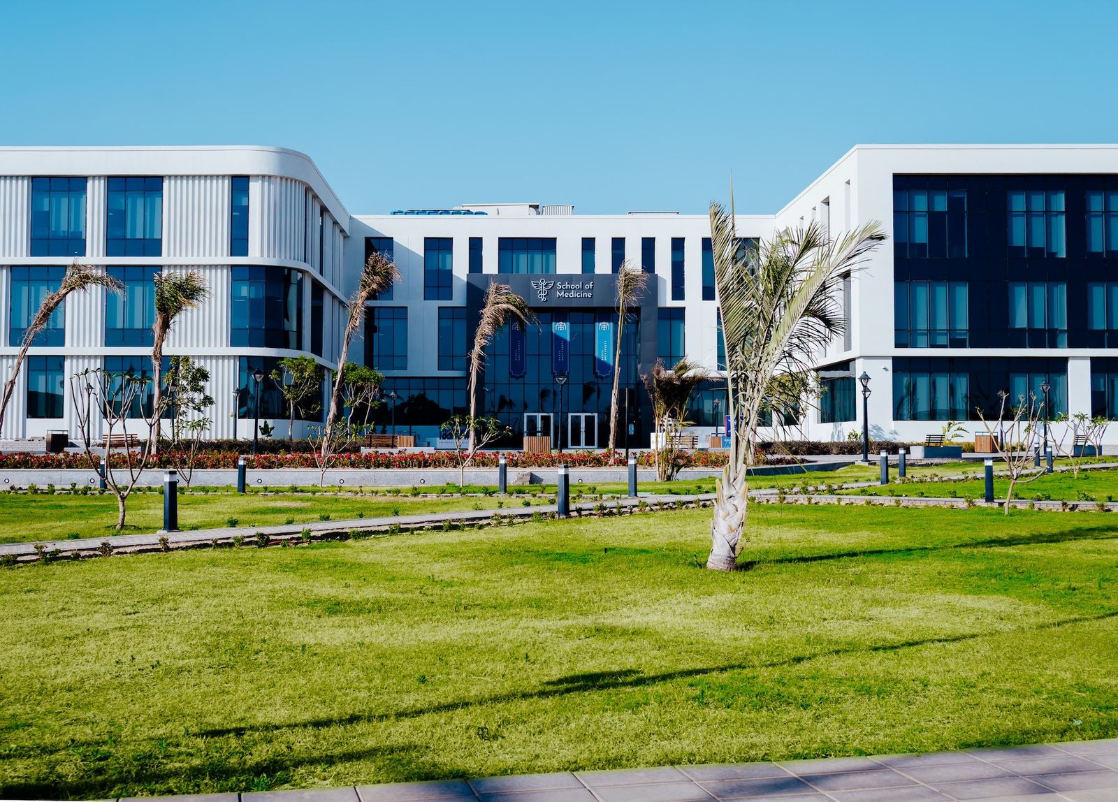 جامعة باديا تستقبل الطلاب الراغبين فى الالتحاق بكلية الفنون الجميلة جامعة باديا تستقبل الطلاب الراغبين فى الالتحاق بكلية الفنون الجميلة