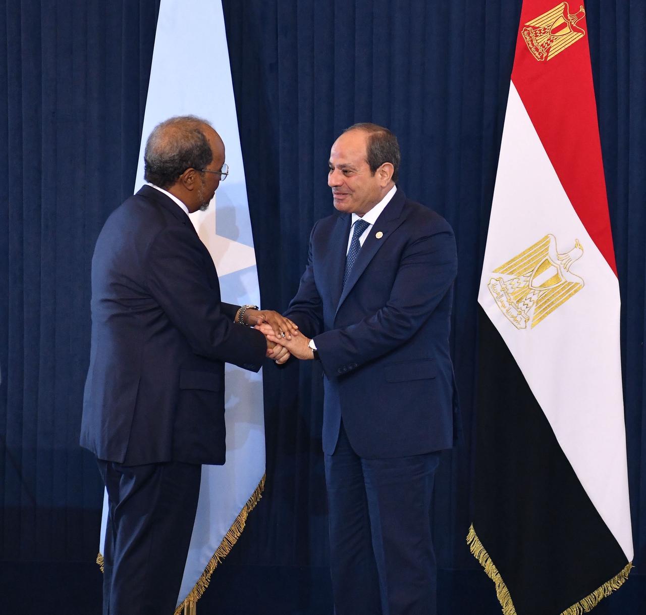 السيسى ورئيس الصورمال (6)