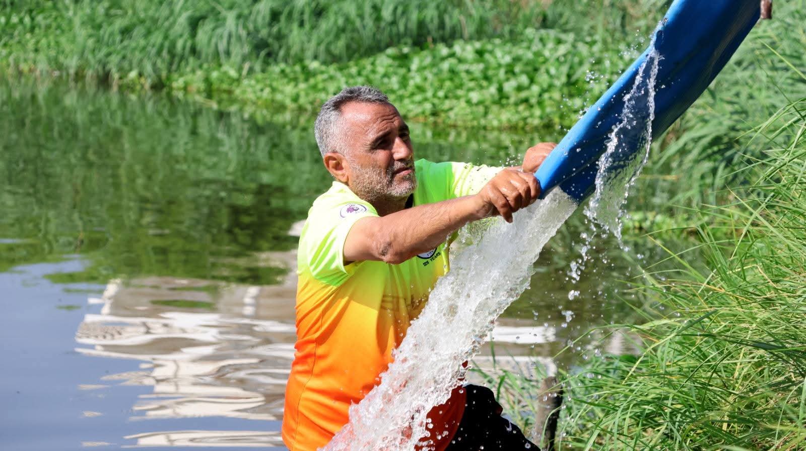 انزال زريعة البلطى انزال زريعة البلطى