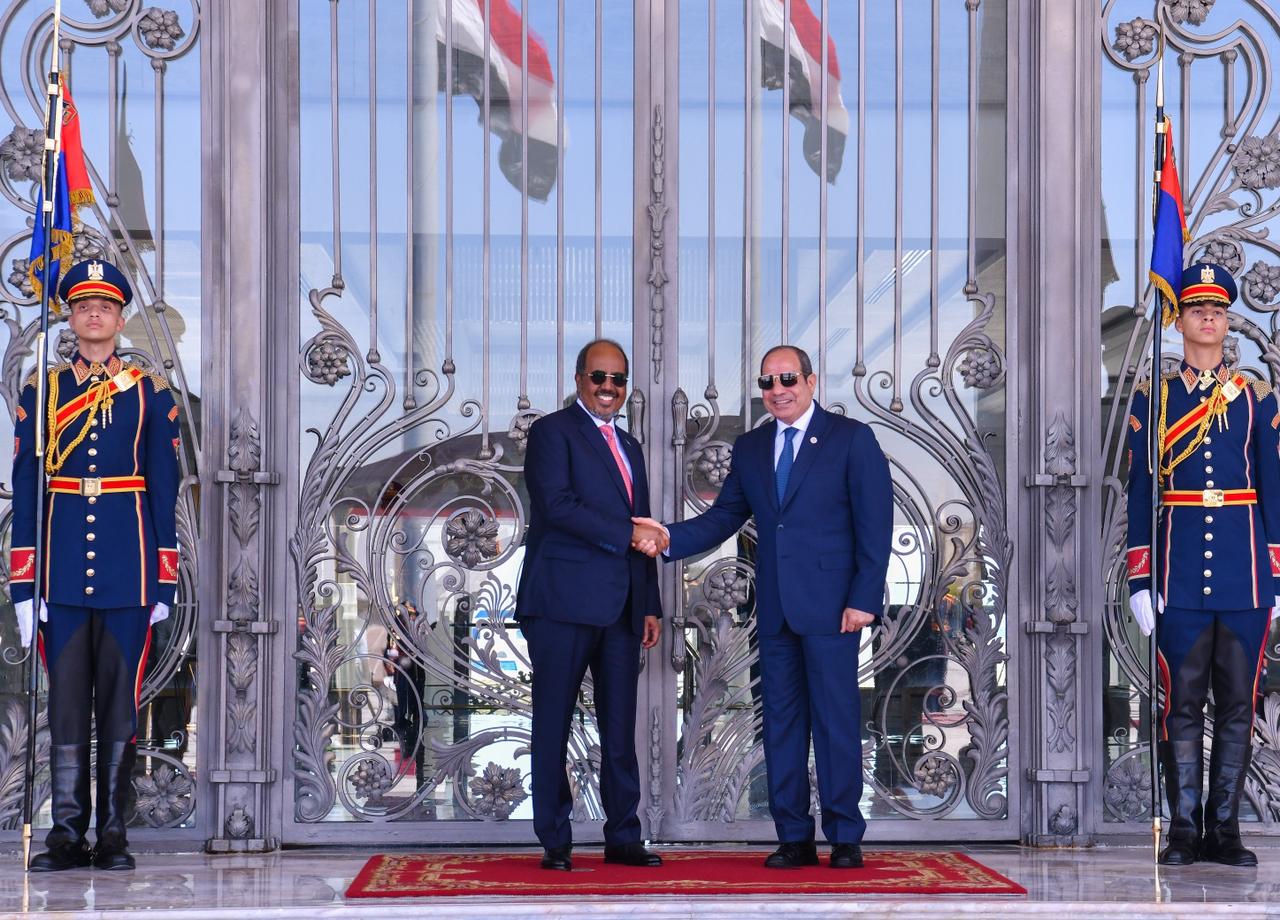 السيسى ورئيس الصورمال (3)