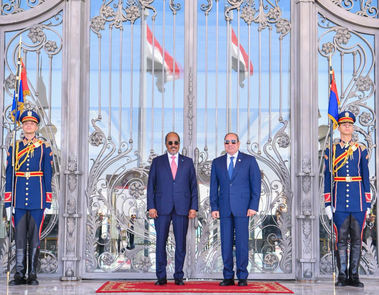 السيسى ورئيس الصورمال (7)