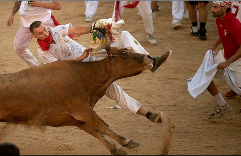 لحظة صدام ثور باحد بلاعب