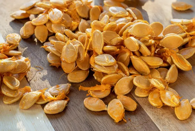 بذور اليقطين