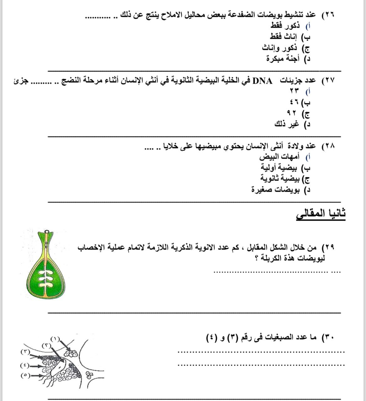 e1d01c9d-66fe-4085-8885-b7e394e7e4f6
