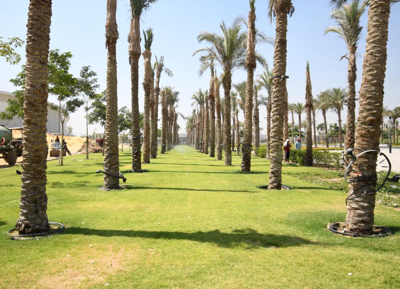 حدائق الفسطاط